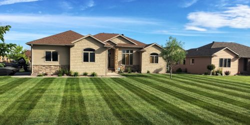 Lawn Care, Lawn Mowing, Grass Cutting, Lawn Maintenance, Lawn Care Business