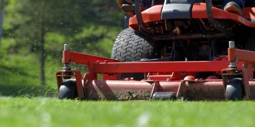 Lawn Care, Lawn Mowing, Grass Cutting, Lawn Maintenance, Lawn Care Business