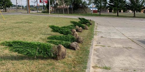 Landscaping, Landscaping Company, Landscaping Contractor, Landscaping Installation, Flower Beds, Mulch Installation, Free Estimate