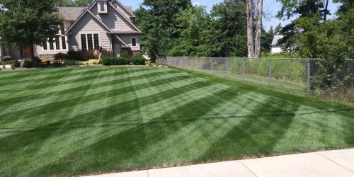 Lawn Care, Lawn Mowing, Grass Cutting, Lawn Maintenance, Lawn Care Business